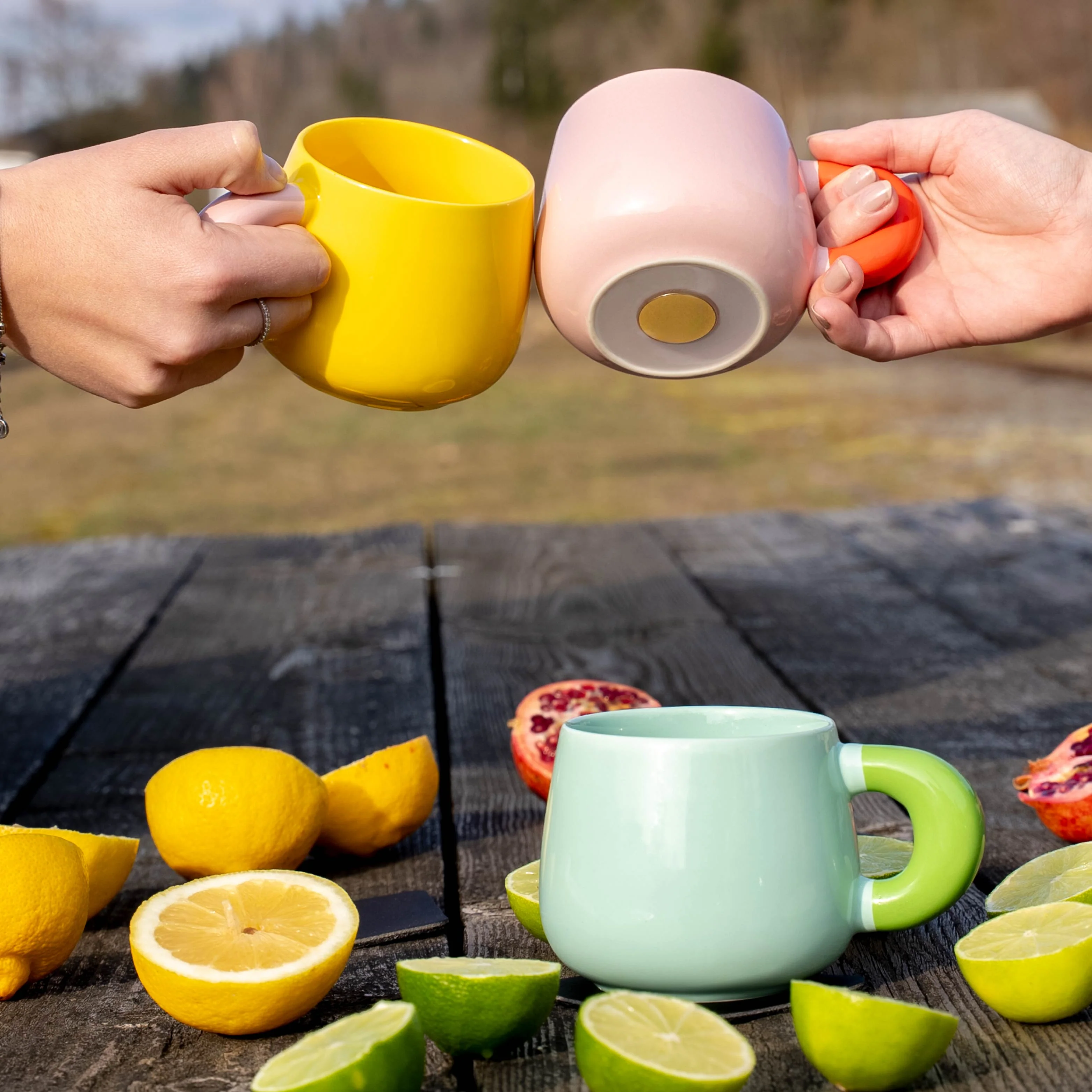 Magnet-Henkel-Potts SUMMERSORBET - Image 6