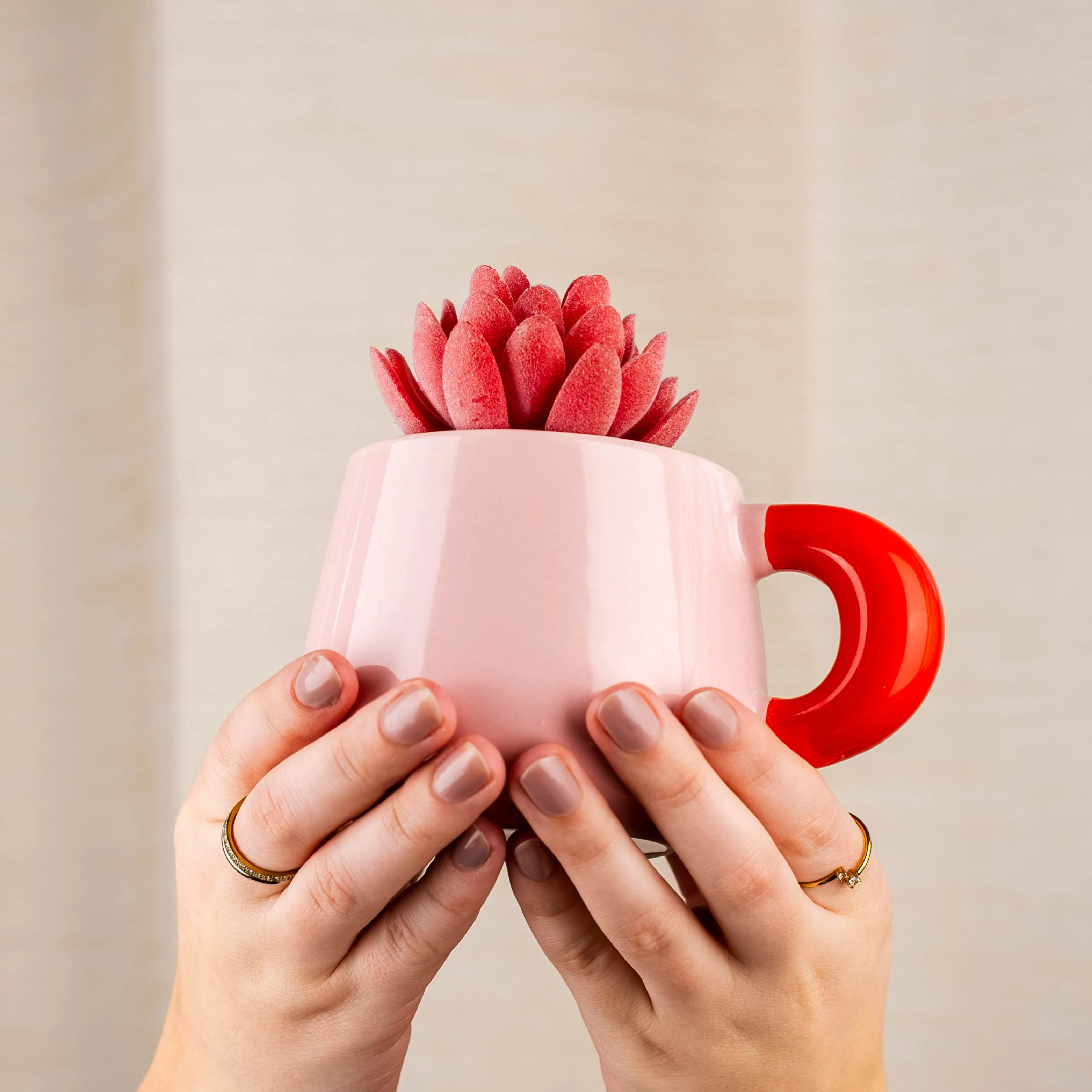 Magnet-Henkel-Potts SUMMERSORBET - Image 8